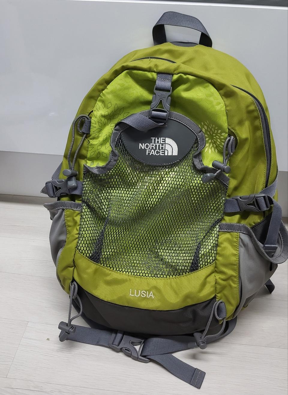 노스페이스 루시아 23L 남녀공용 백팩