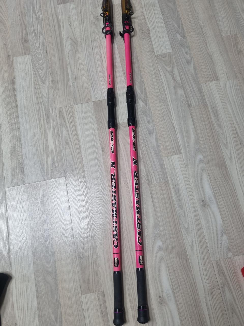 펜캐스트마스터N 25-365 2대