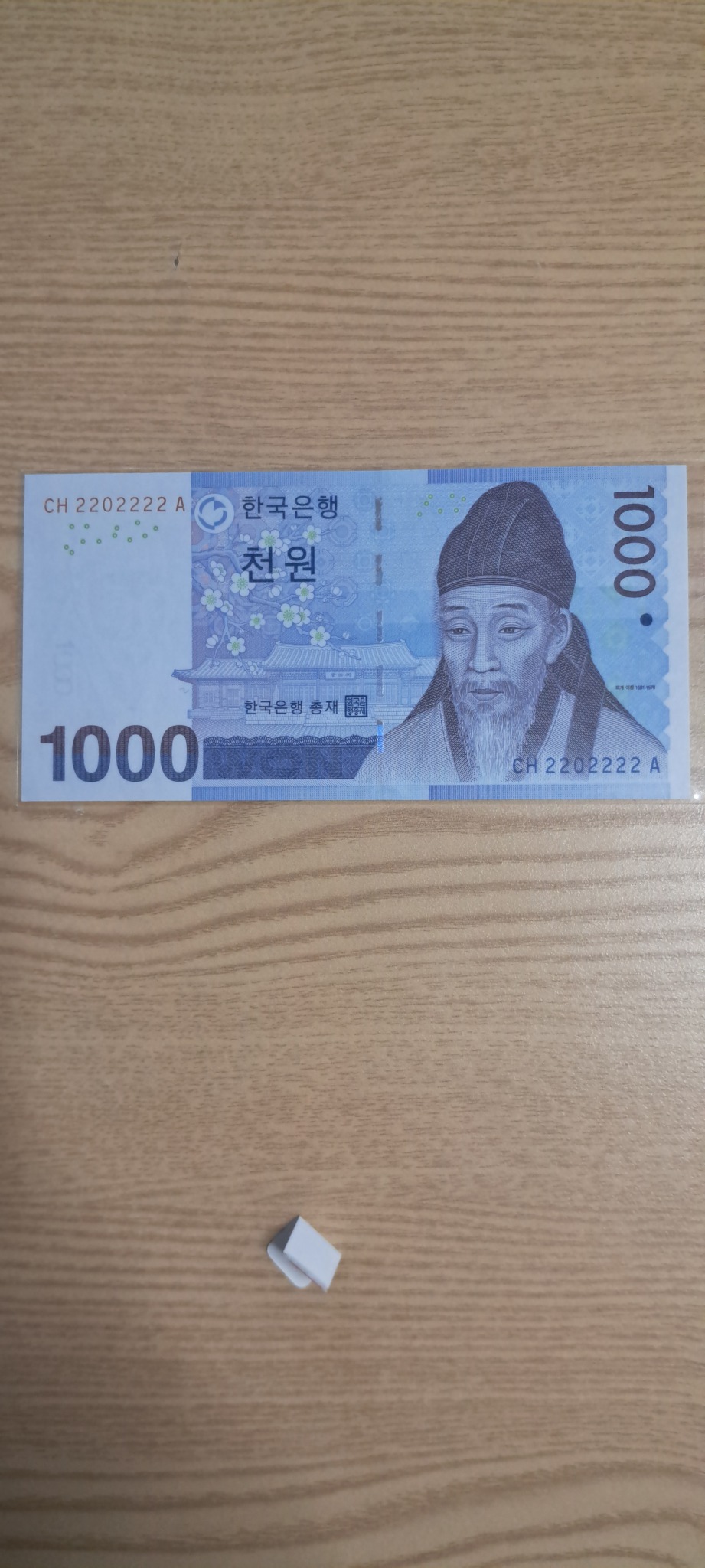 특이번호 준솔리드