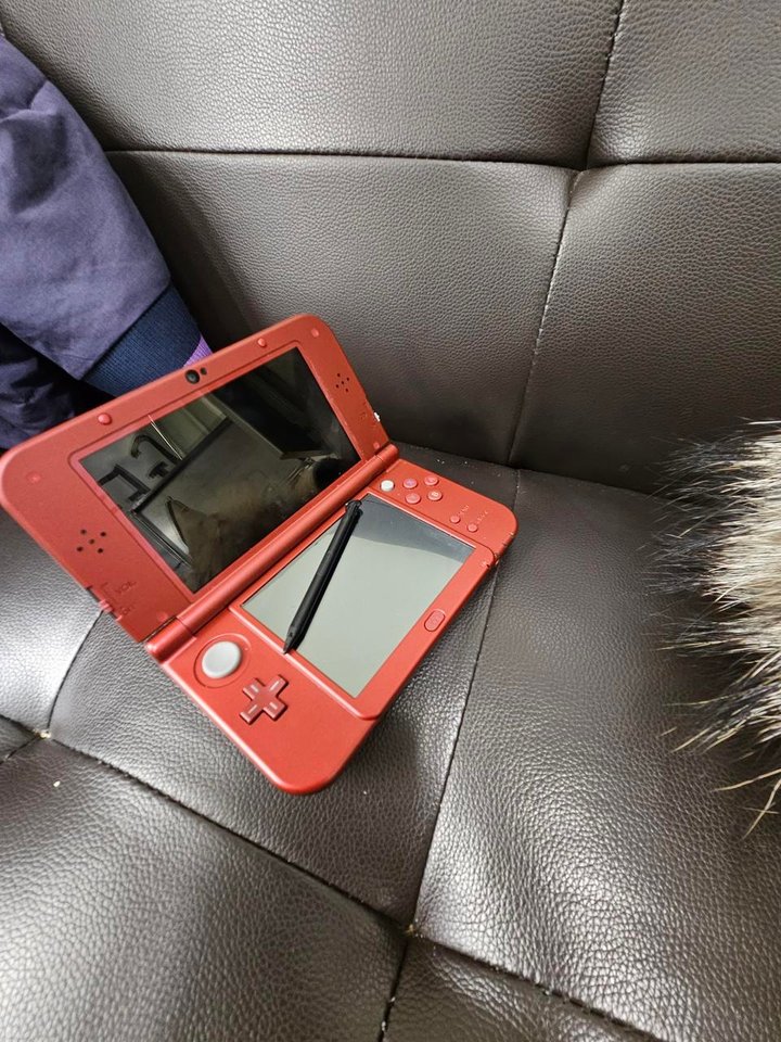닌텐도 3DS XL