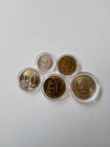 81년5종주화사제민트