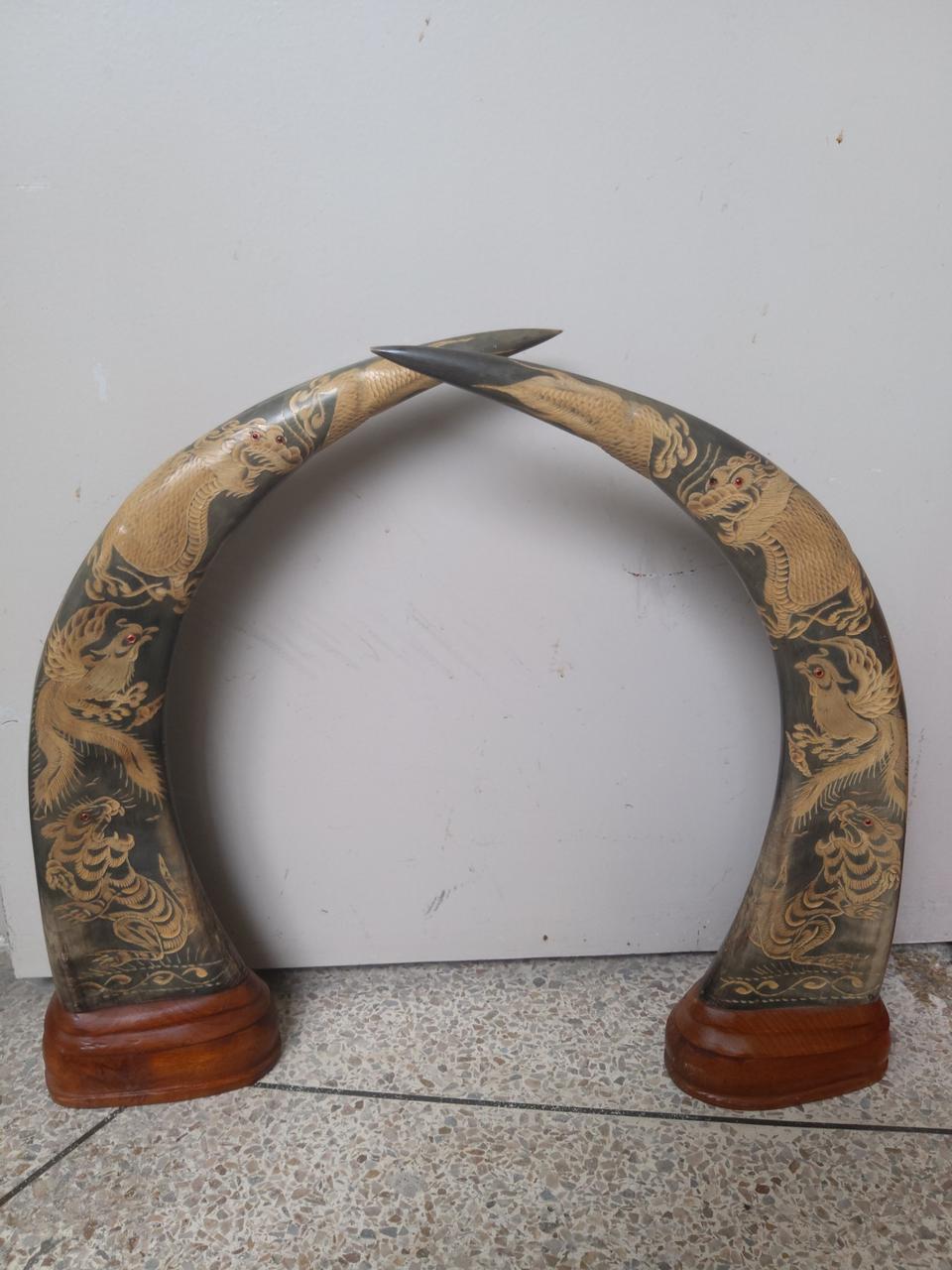 희귀물소장식뿔