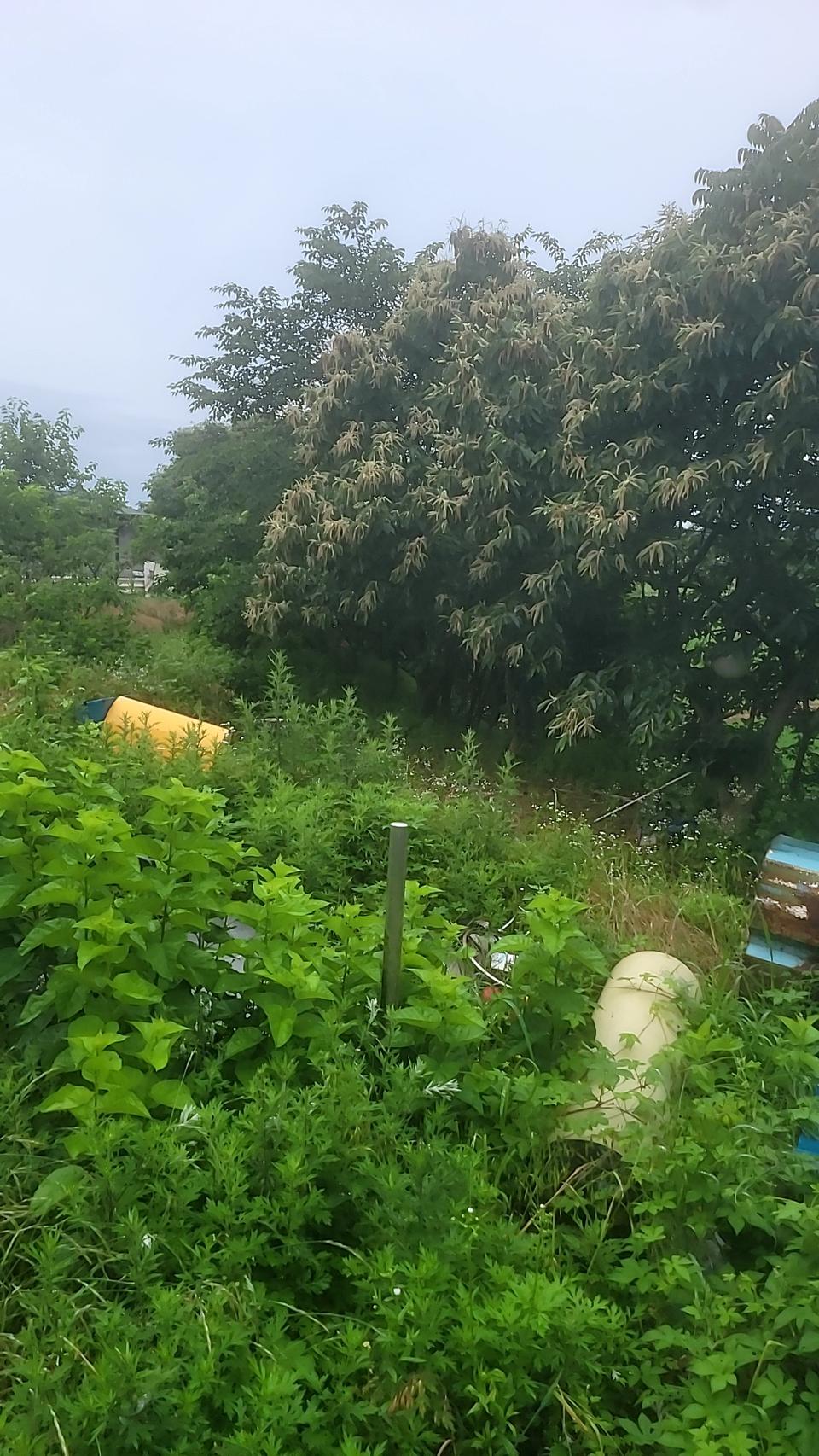 청주 ㅡ토지 매매