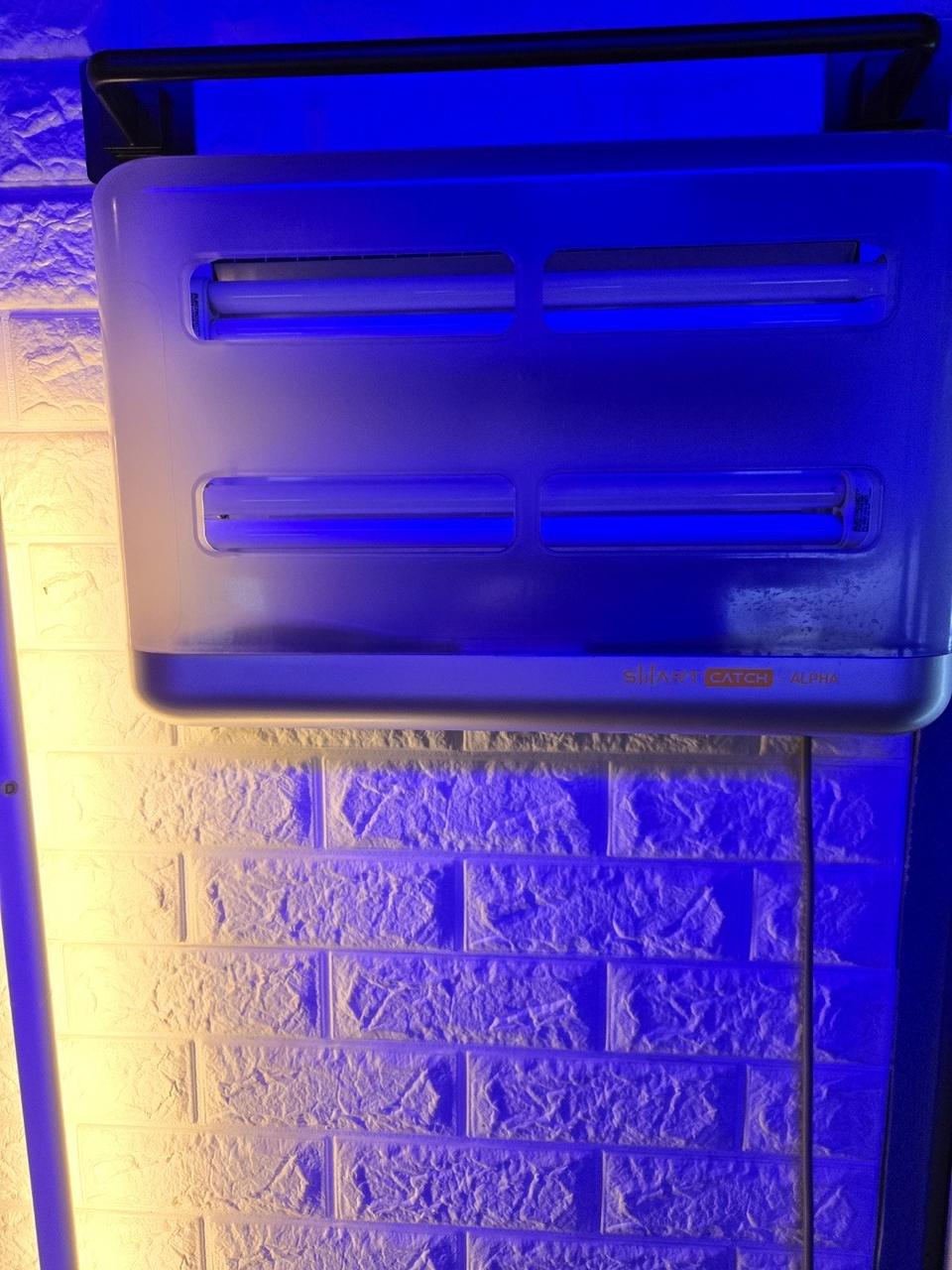 벌레 퇴치제 팔아요.