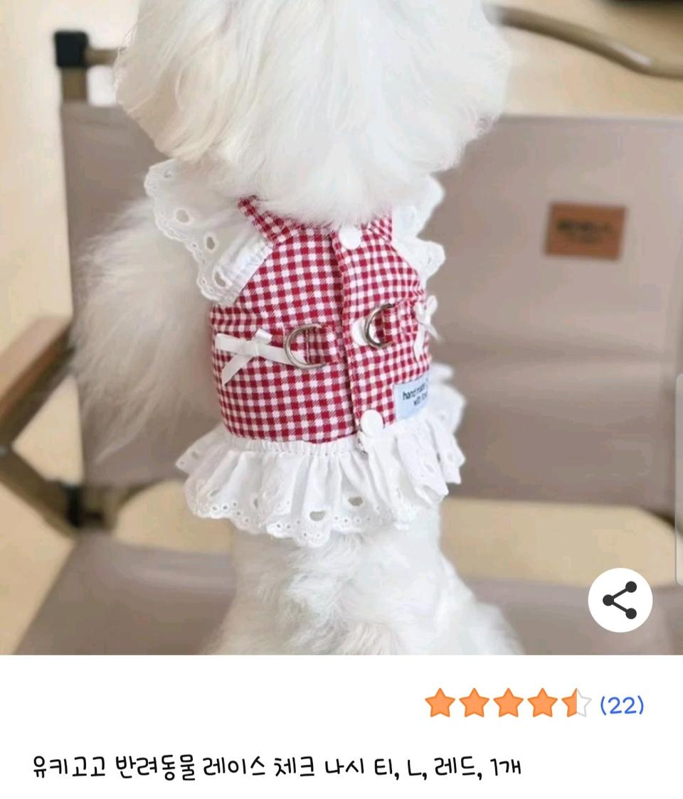 반려동물 하네스 의류