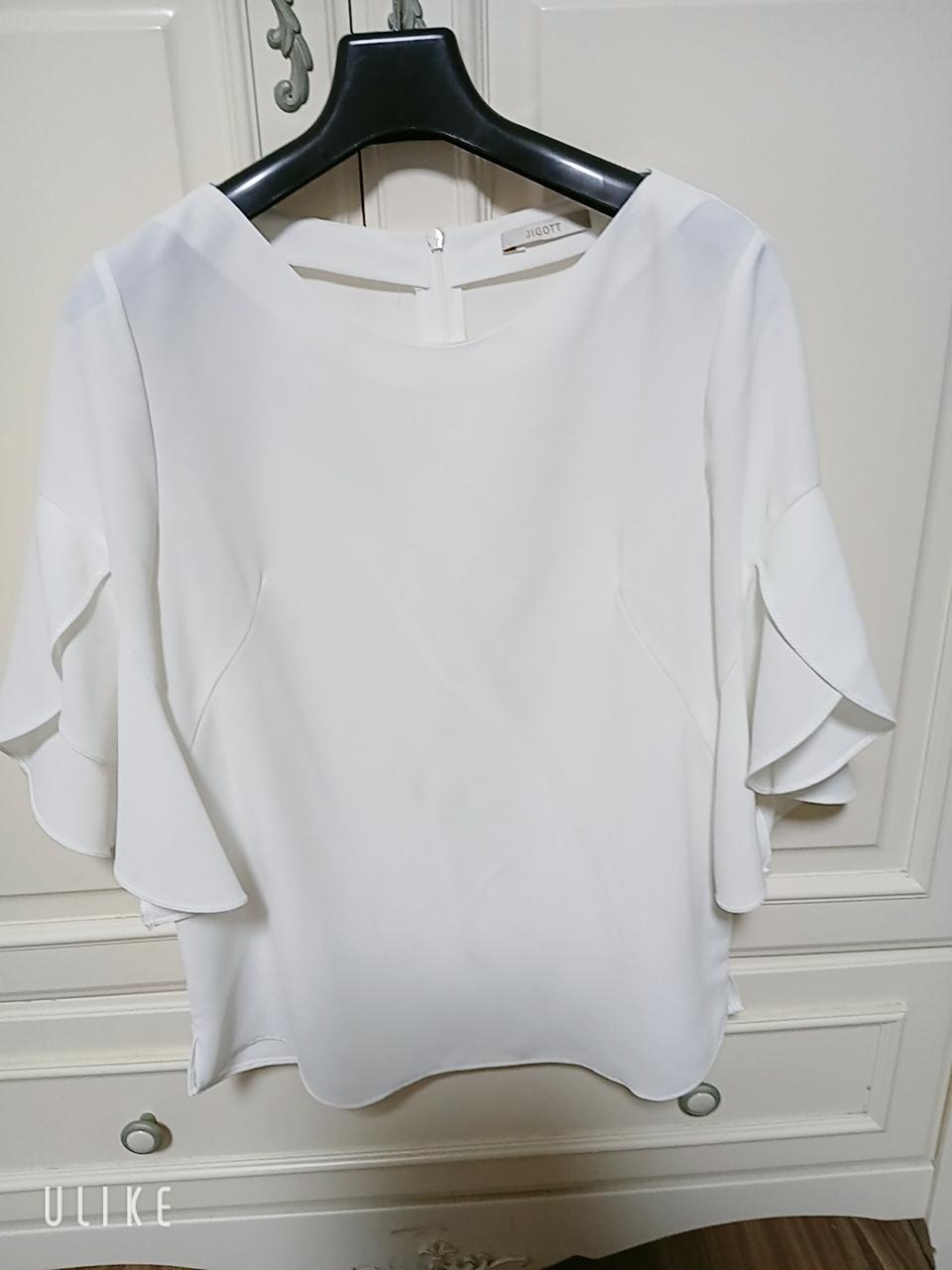 JIGOTT  쉬폰 블라우스