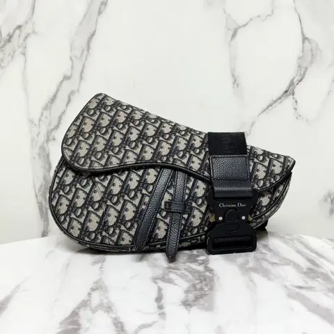 디올 오블리크 새들백