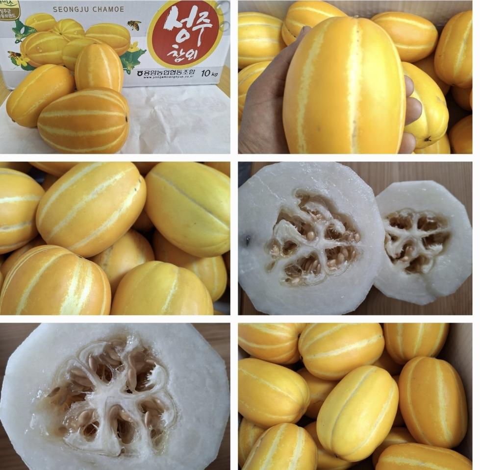 마지막 무료배송입니다 참외10kg