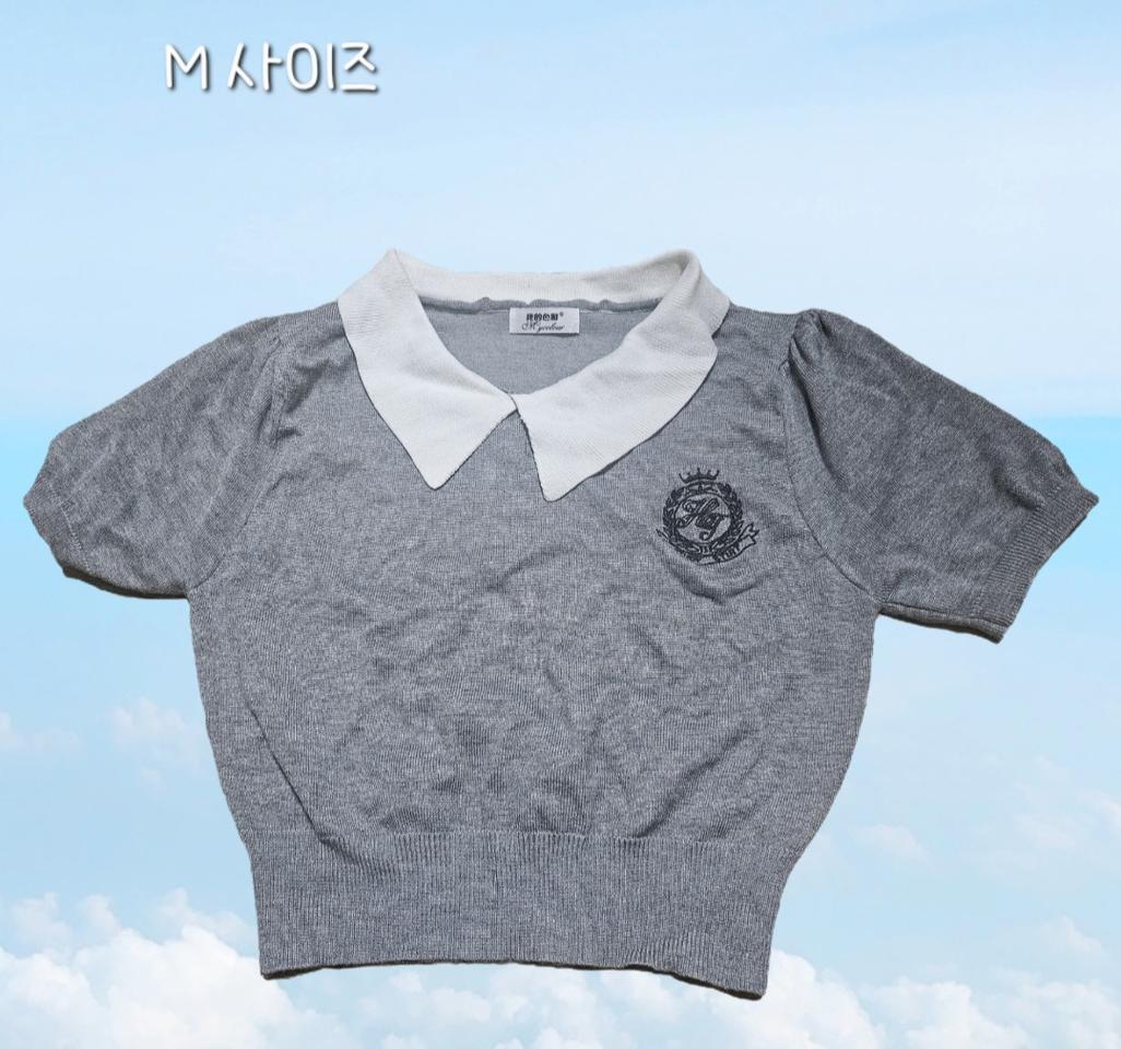 크롭 카라 반팔티