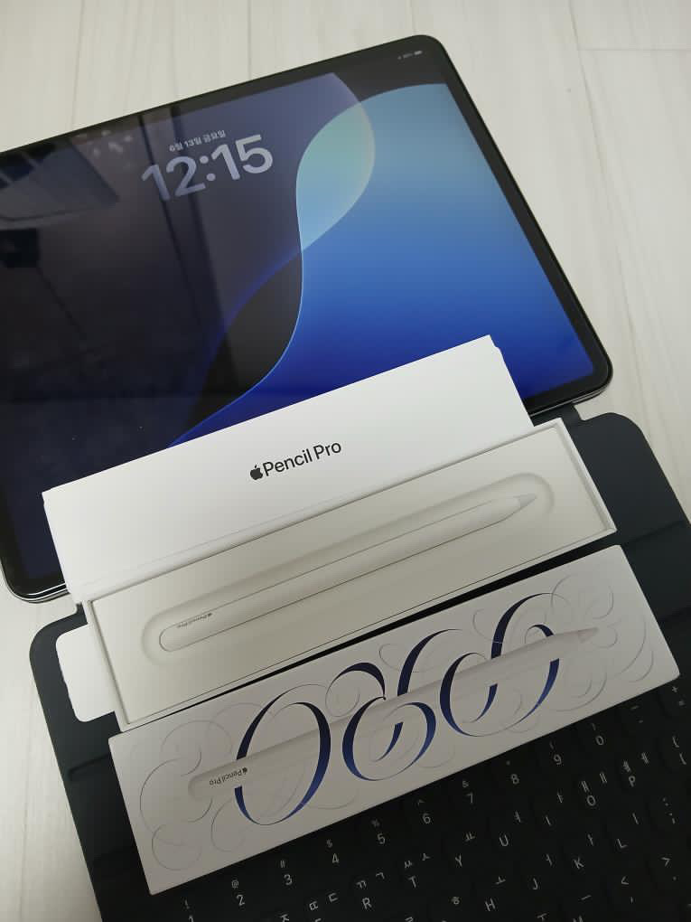 아이패드 12.9 인치 펜슬 pro