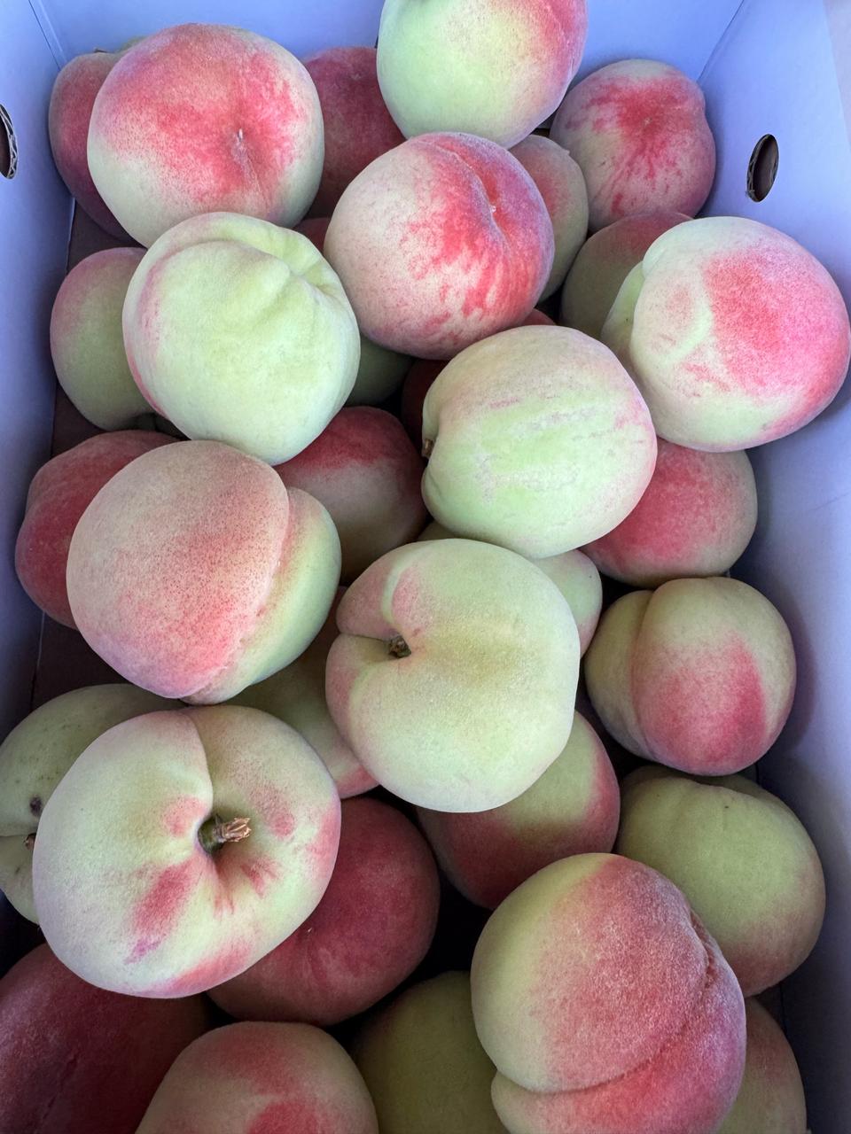 딱딱이 복숭아 5키로26000무료배송