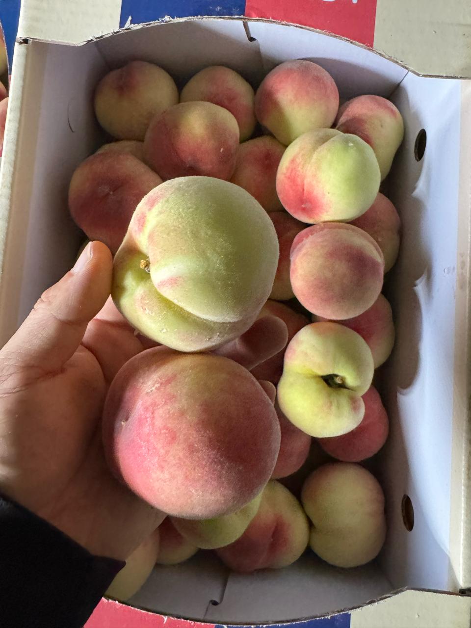 딱딱이 5키로3단 24500무료배송