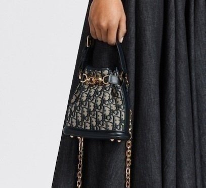 디올 쎄디올 버킷백