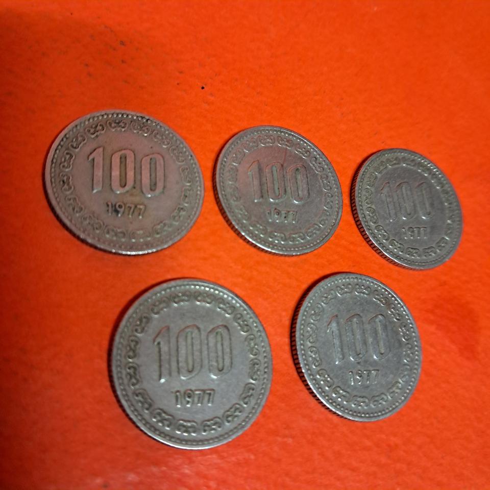 1977년 100원 동전 사용제 5점일괄