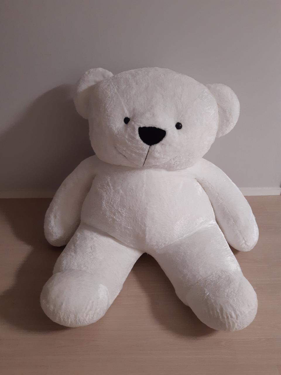 대형 곰인형, 마이멜로디 라인프렌즈 카카오 도라에몽 키티 짱구 캐릭터