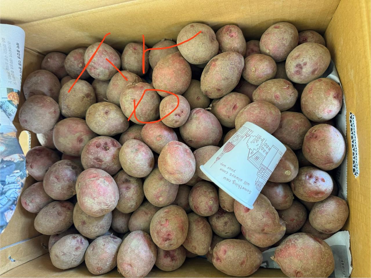 홍감자 상 10 키로19500무료배송