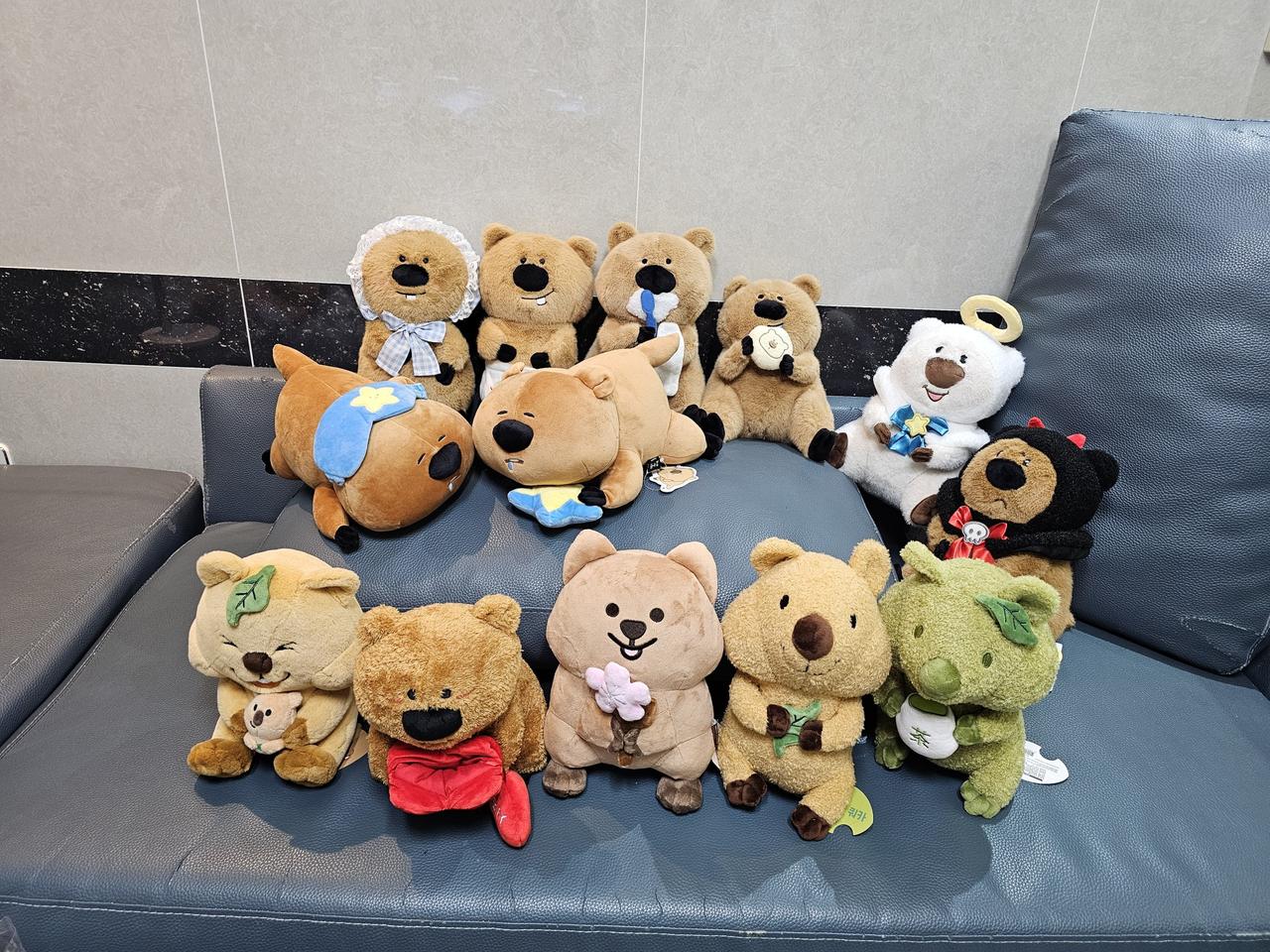 쿼카 코커짱 베이비 치카치카 먹보 별나라 꿈나라 천사 악마 코커 꽃카