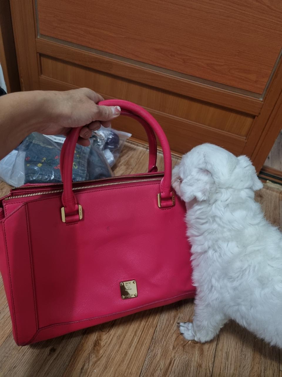 mcm토트겸크로스백