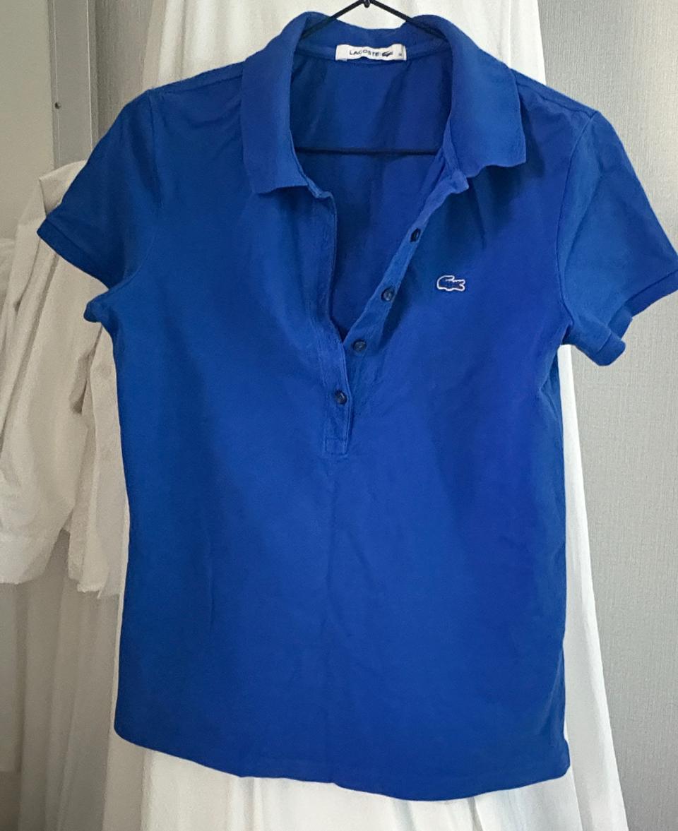 라코스테 블루 반팔 카라텍 티셔츠