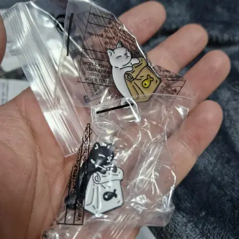 박스고양이 배찌 브로치 새상품