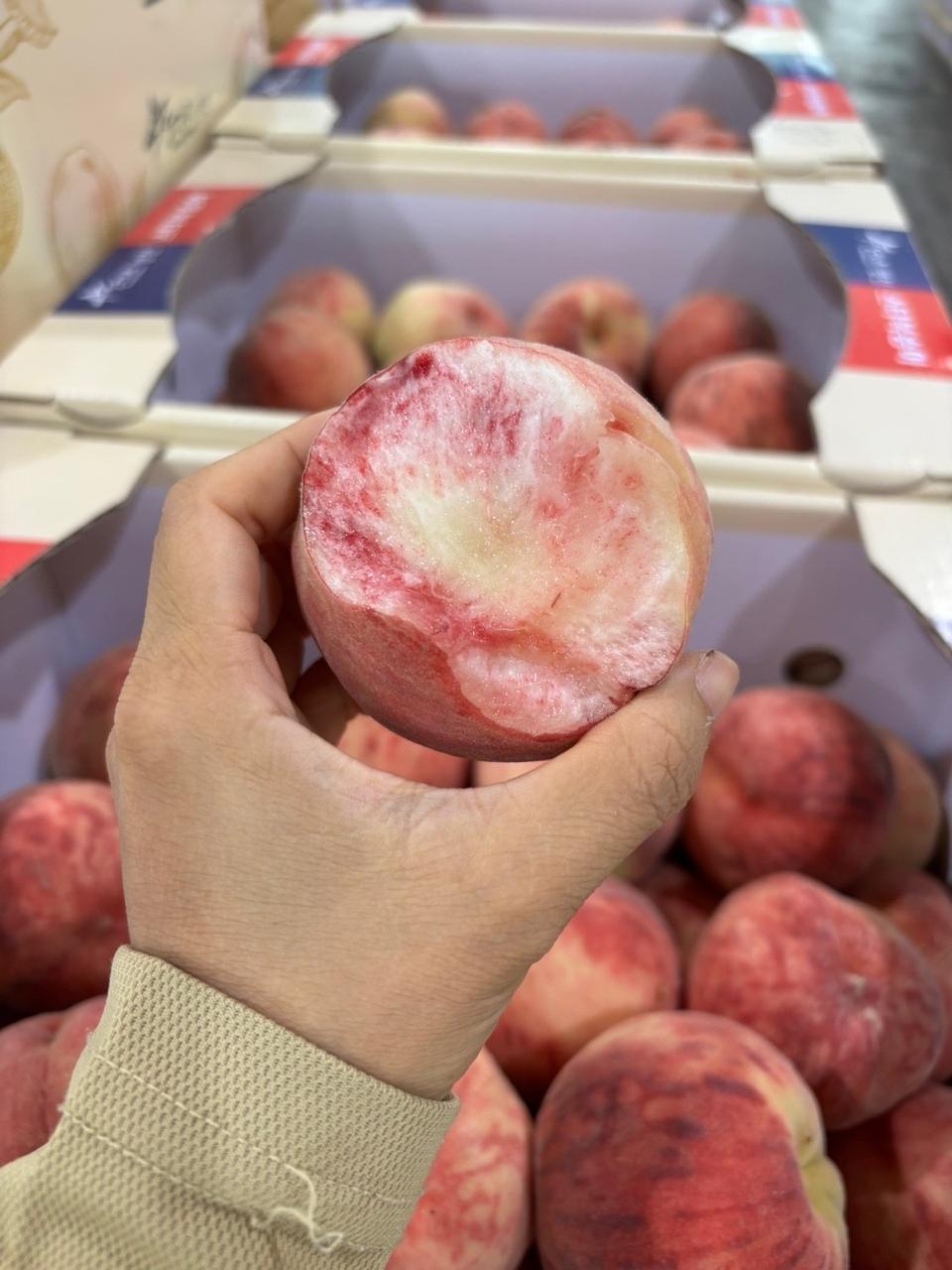 딱딱이 5키로25내외 3만 무료배송