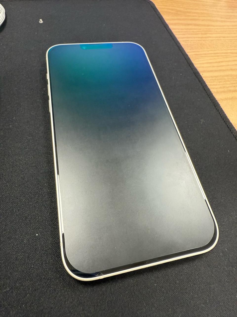 14프로맥스 1테라