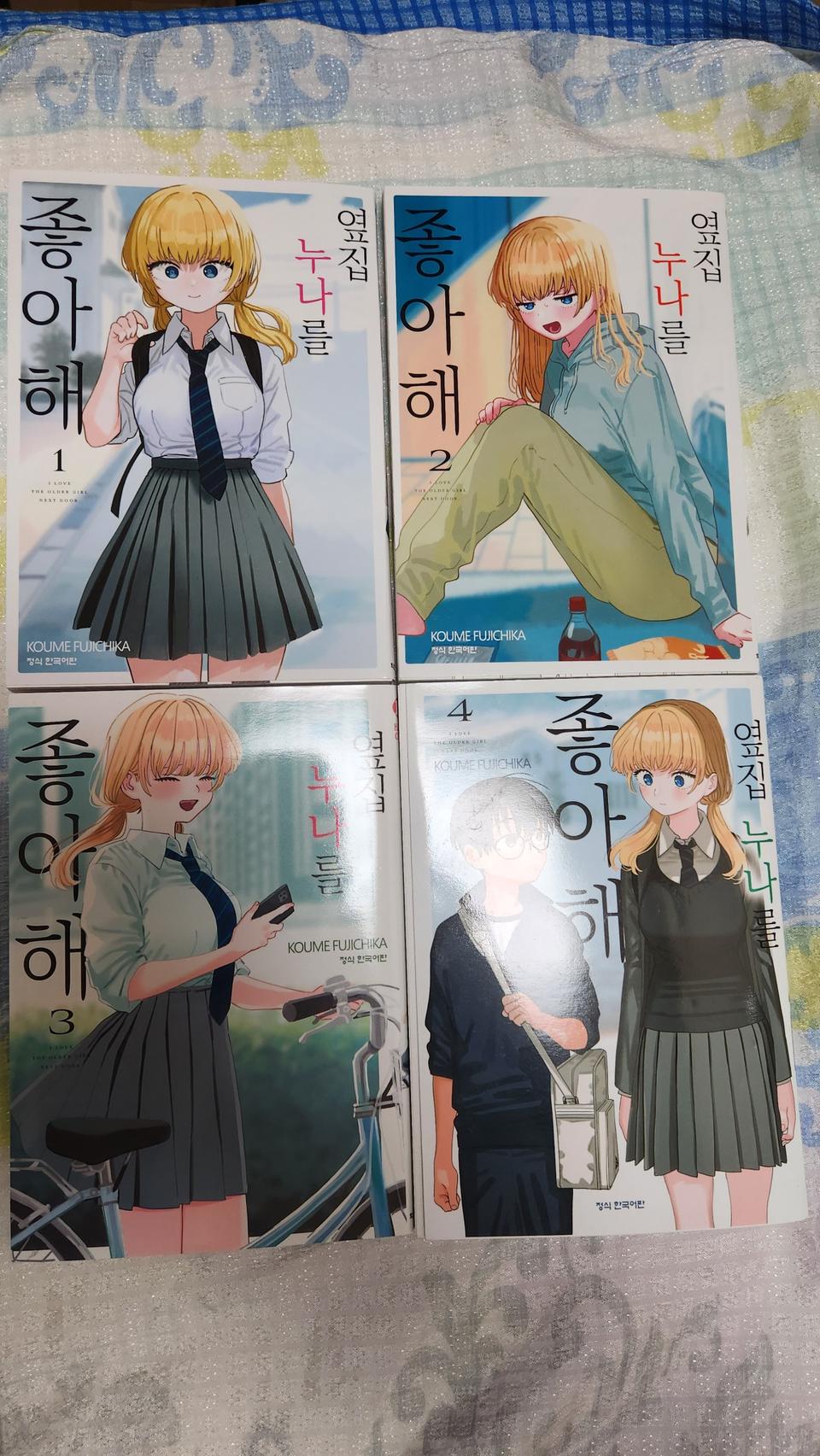 옆집 누나를 좋아해 책