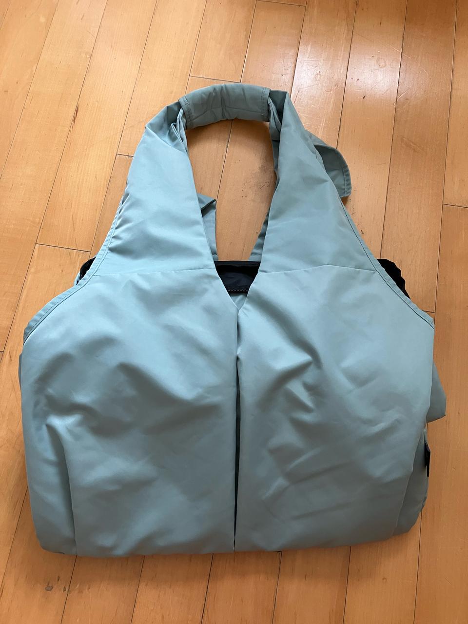 반려동물 이동가방 이지캐리백