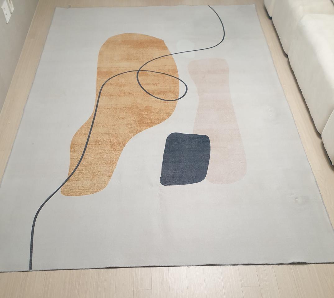 대형 러그, 아트 빈백, 한샘 듀이 노르딕 쇼파 팝니다