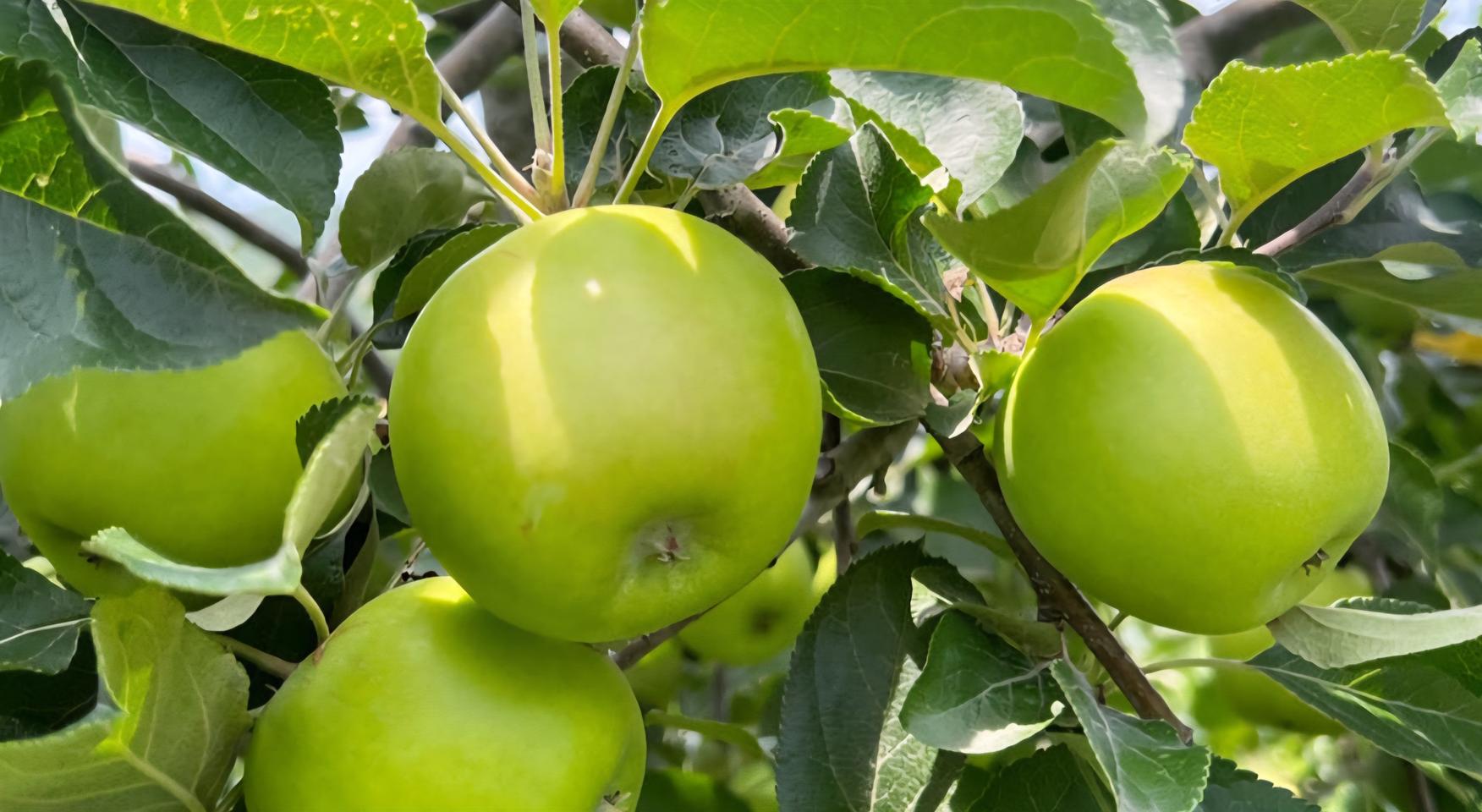 인스타 or 트위터 계정삽니다