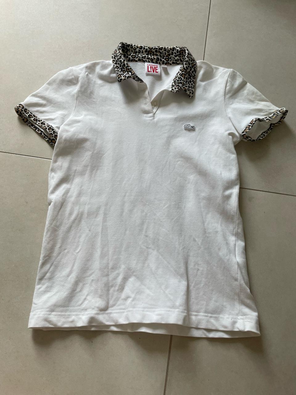 라코스테 피케티