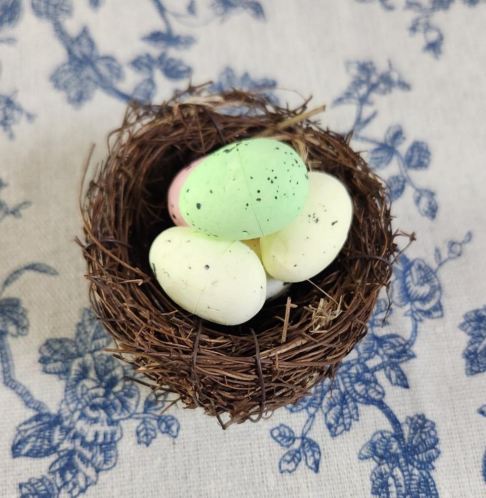 새상품)새둥지 새알5개 인테리어소품 다육소품