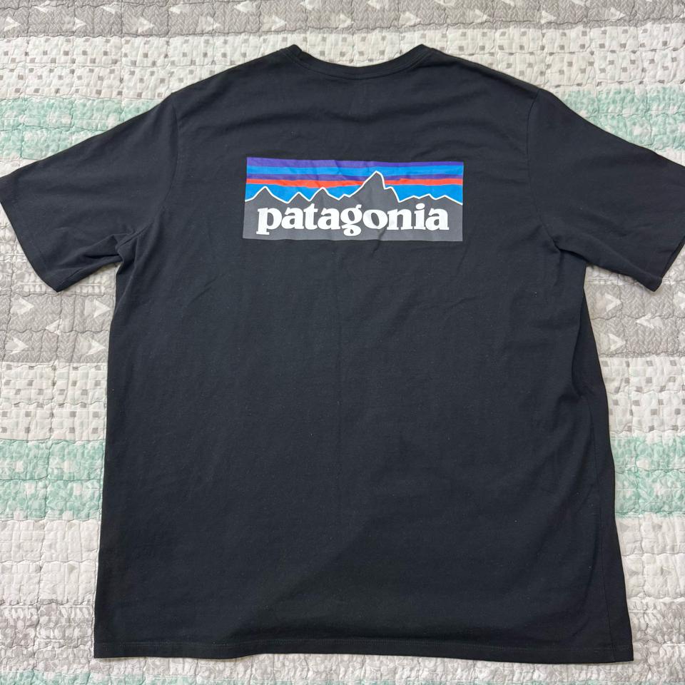 파타고니아 P-6 반팔티 38504Q5