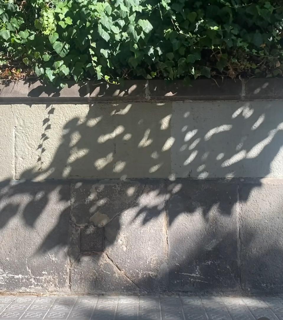 루이비통 니스미니