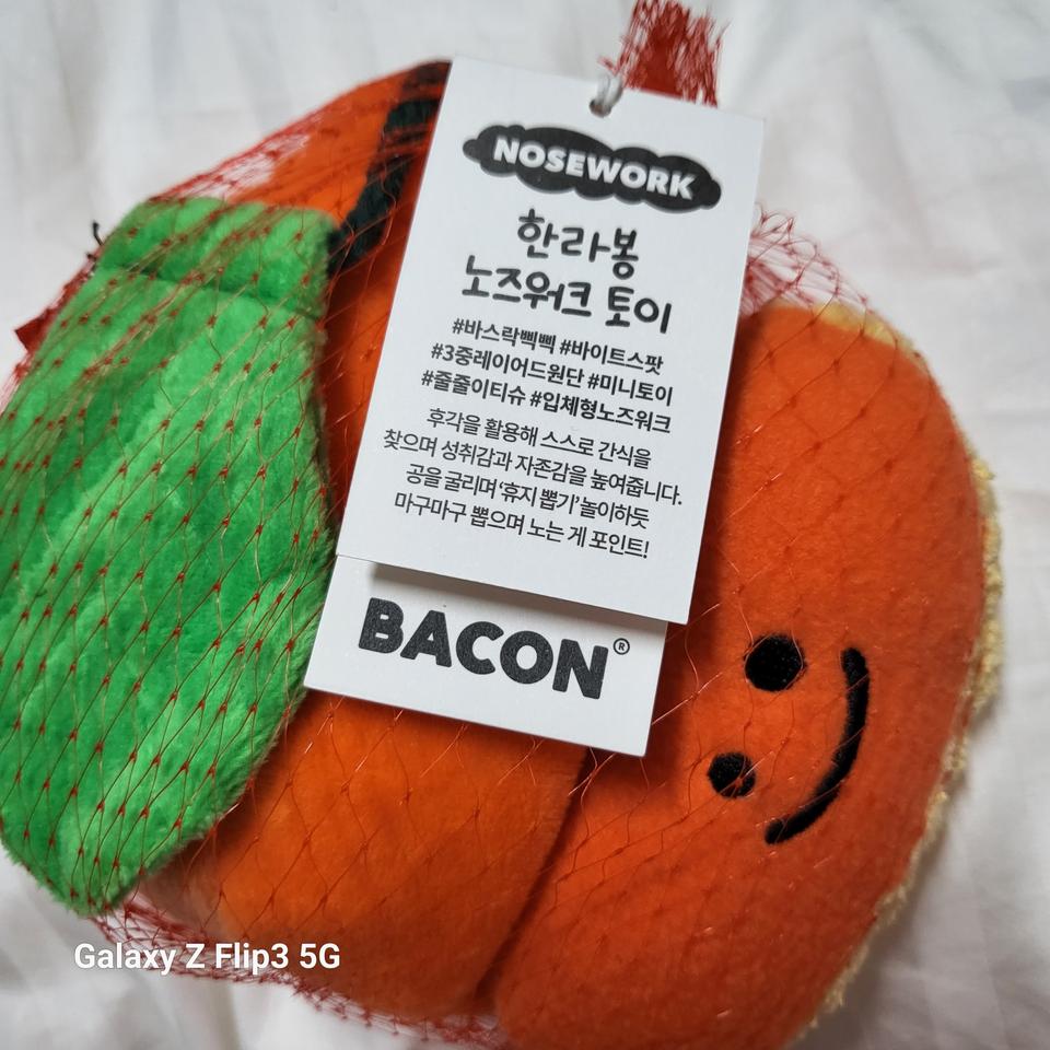 베이컨 한라봉 노즈워크 토이