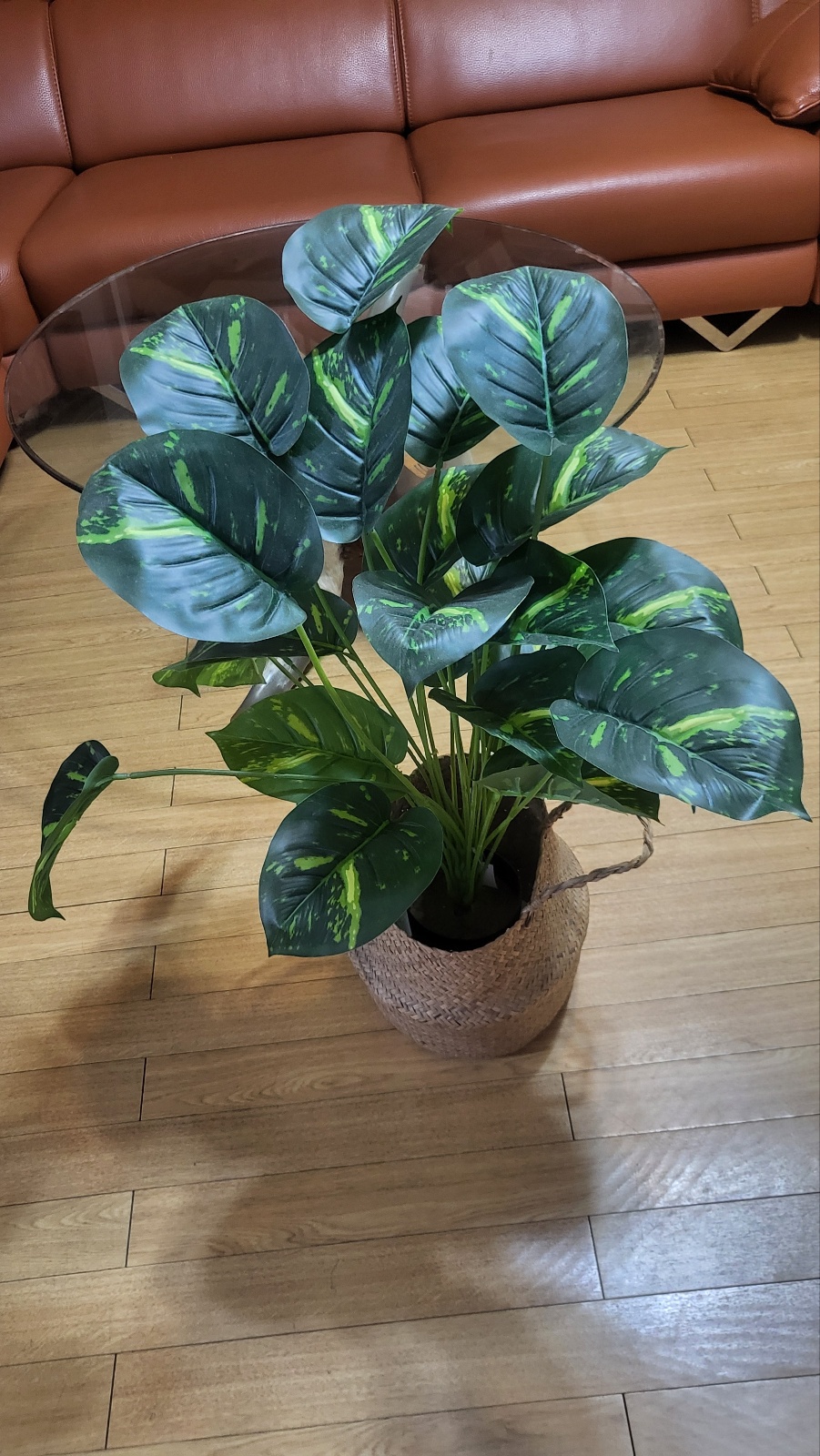 인조화초(스킨답서스)와 라탄 바구니