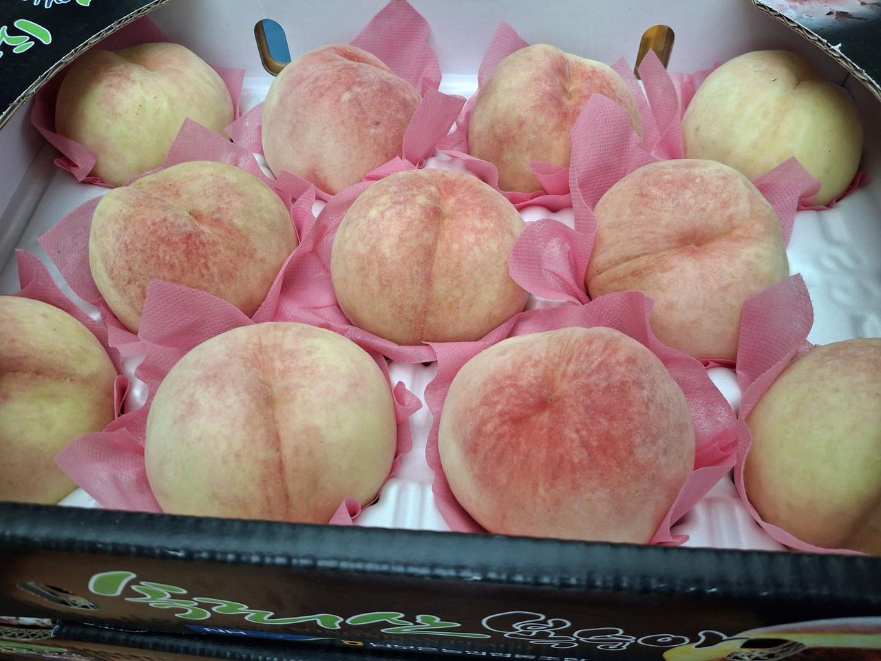 딱딱이 복숭아1상자 특별한정