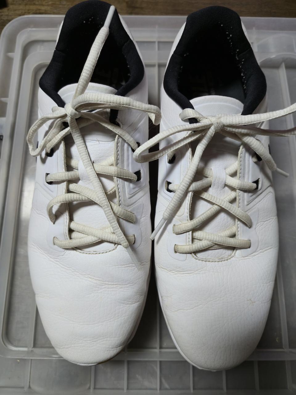 나이키 골프화 255mm