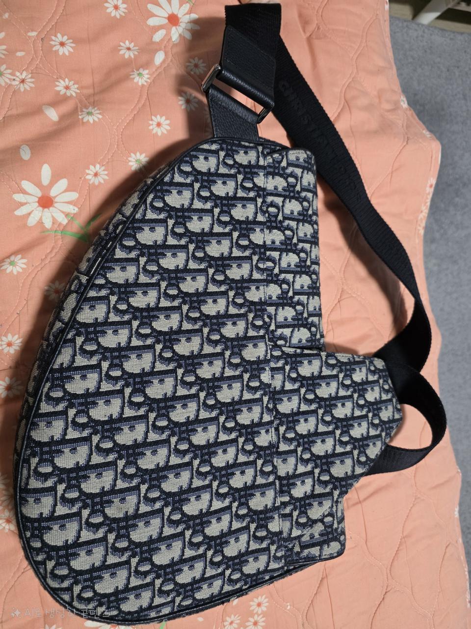 디올 오블리크 새들백 맵시