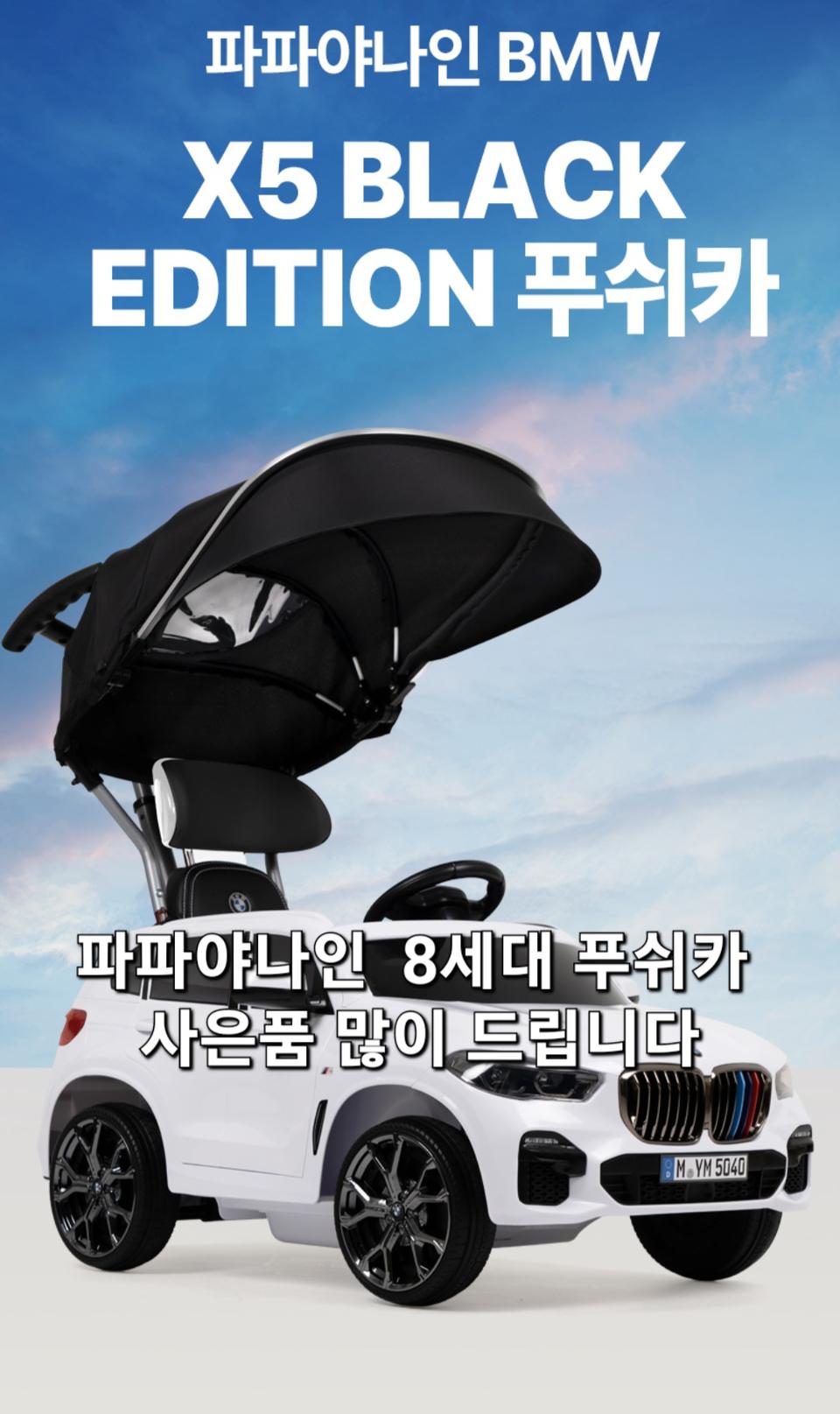 파파야나인 푸쉬카