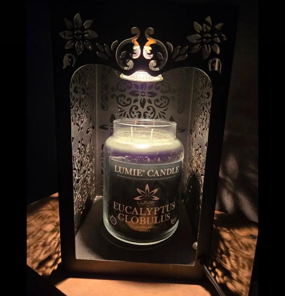 유칼립투스캔들