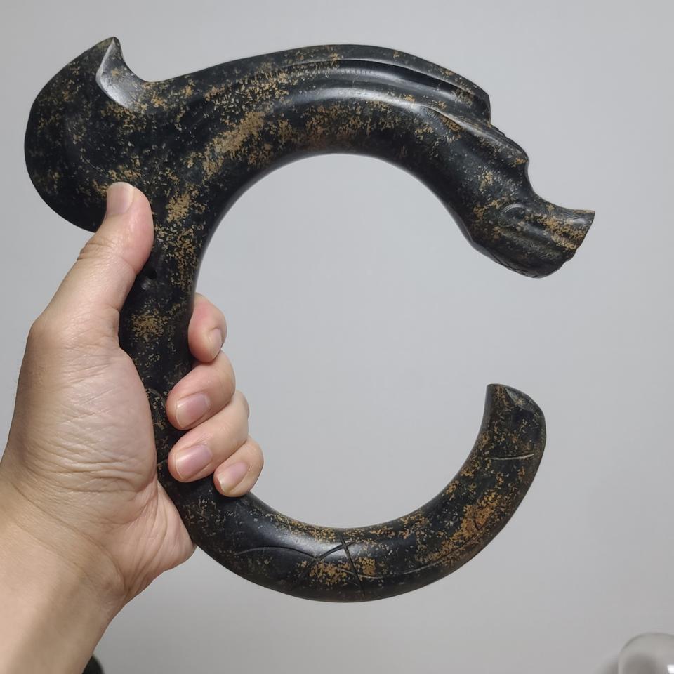 홍산문화 저룡 2종