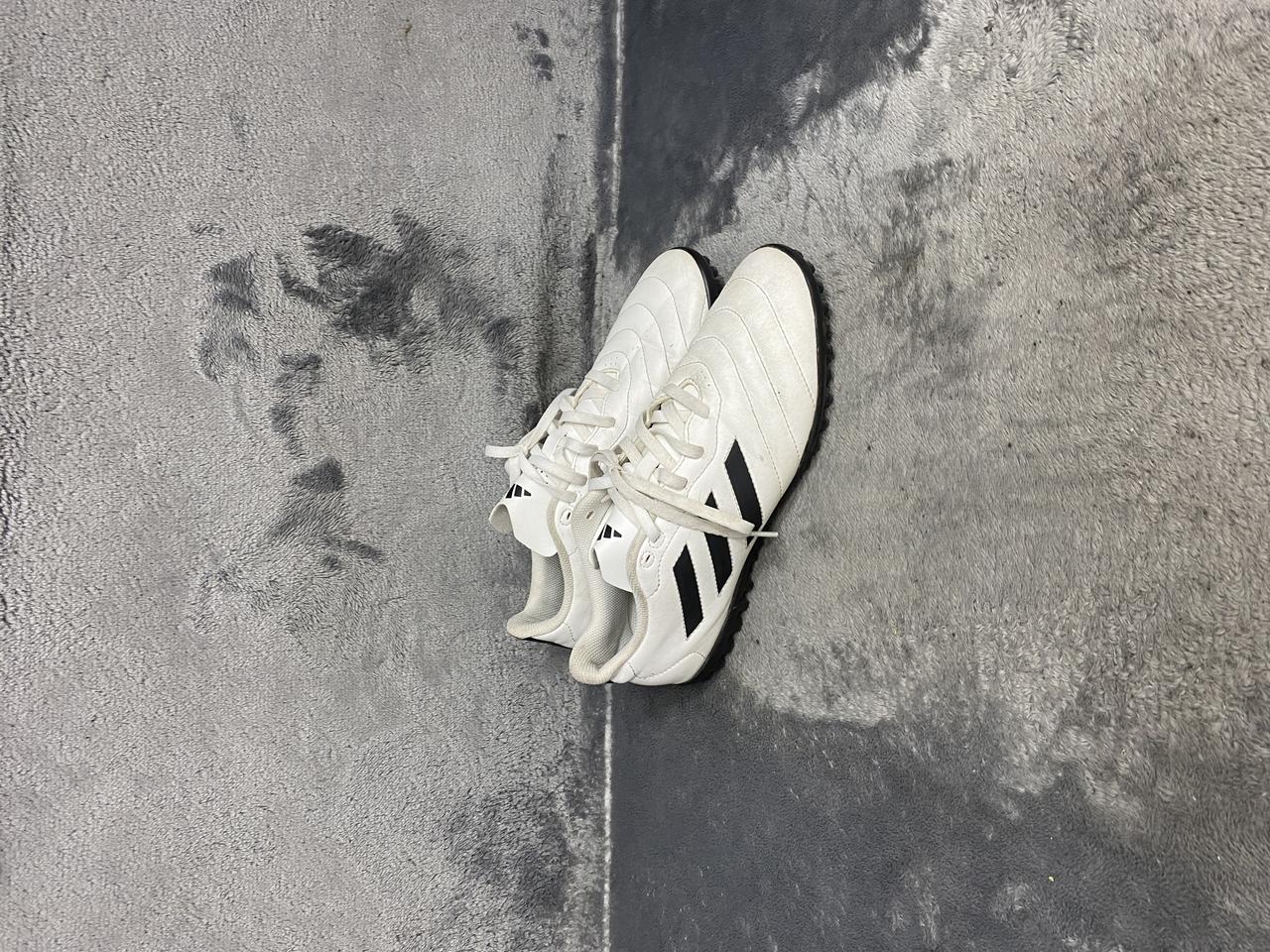 아디다스 풋살화 255