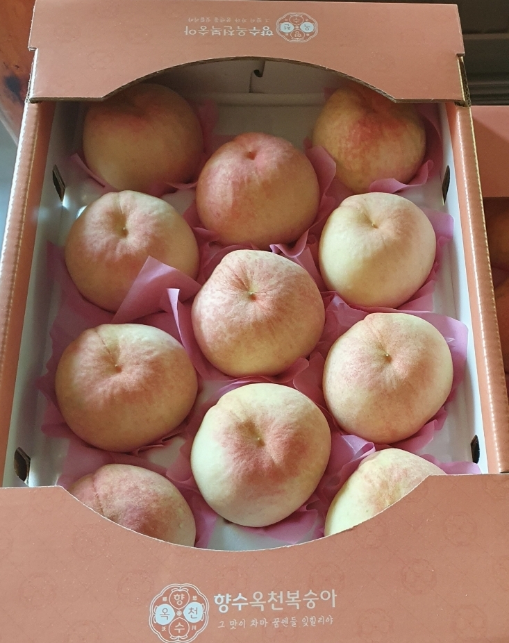●딱딱이의 명품 복숭아11과 무료배송입니다