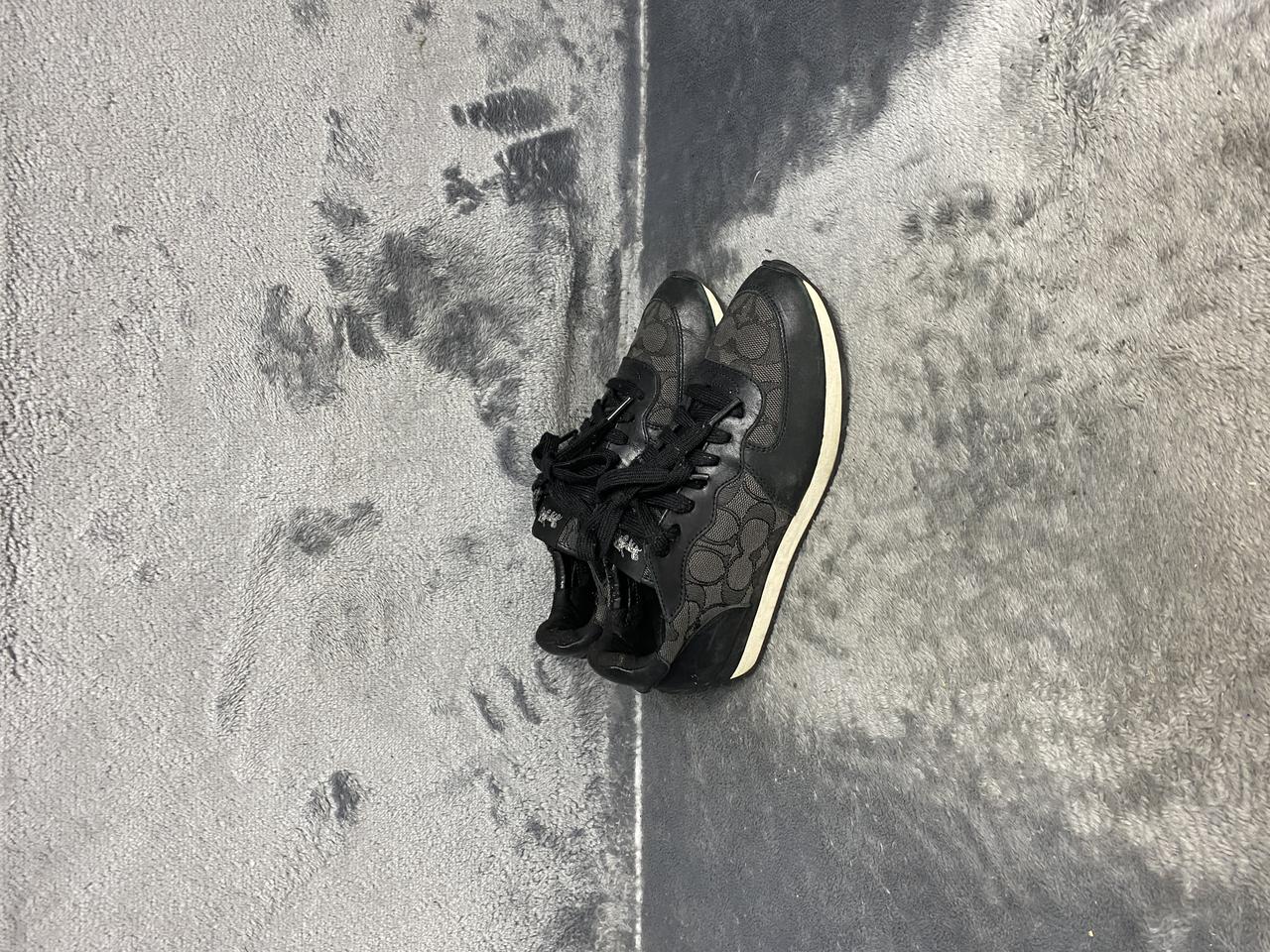 코치 스니커즈 230