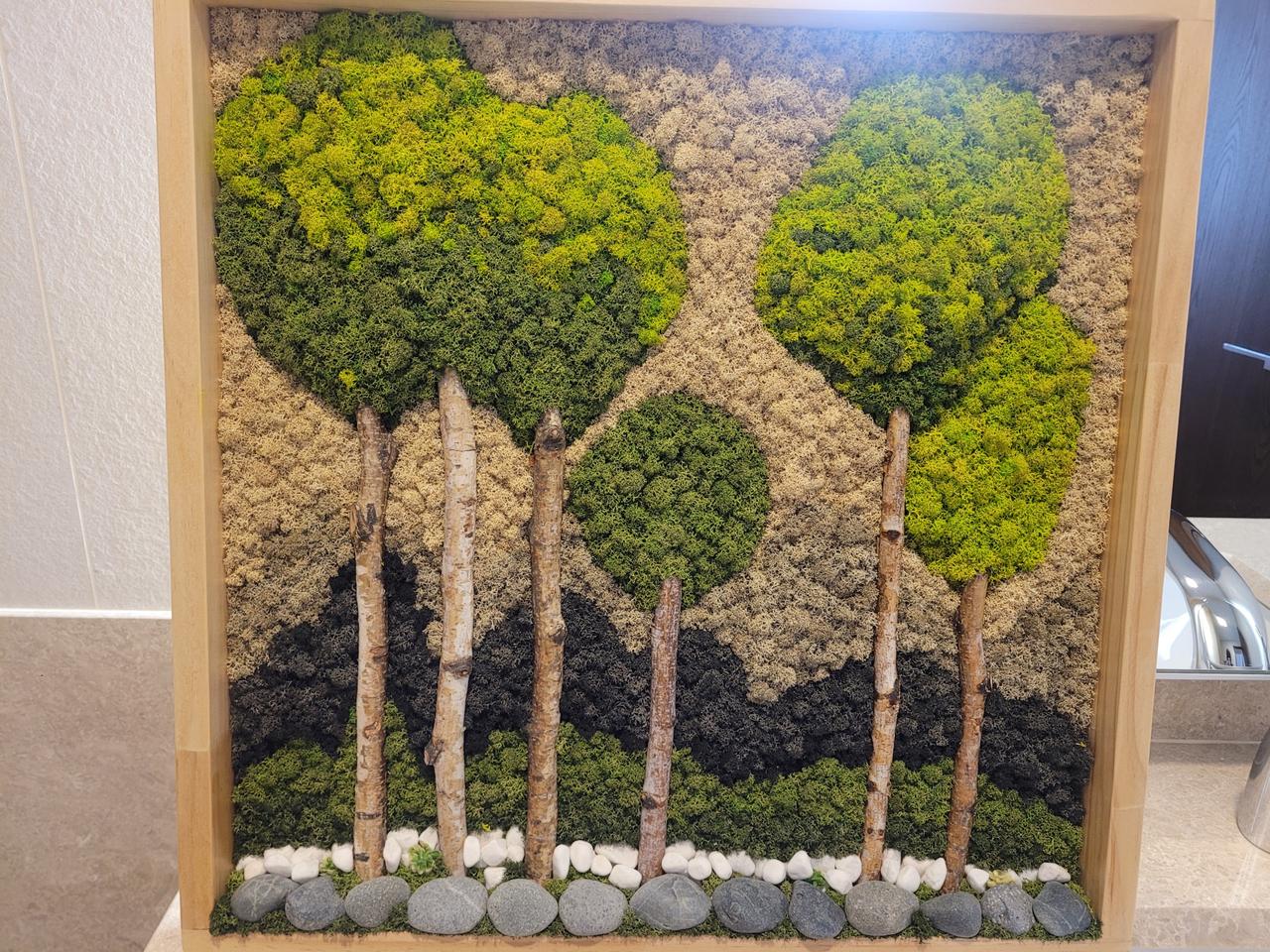 공기정화식물액자/스칸디아모스/친환경이끼/인테리어 장식소품/대형사이즈/새상