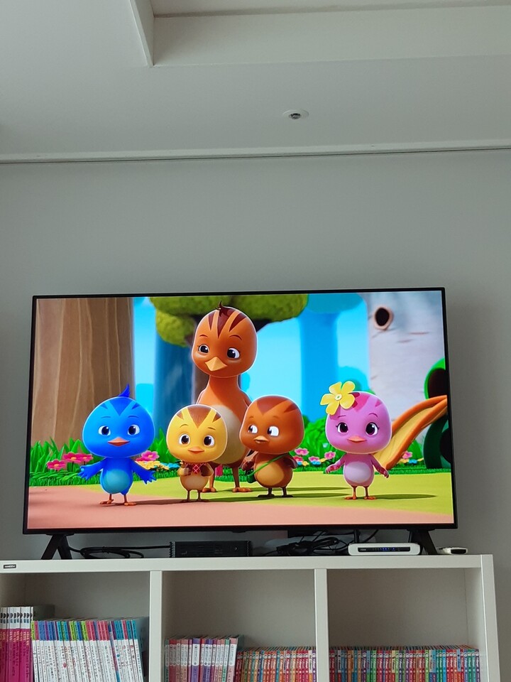 LG 올레드 48인치 OLED TV