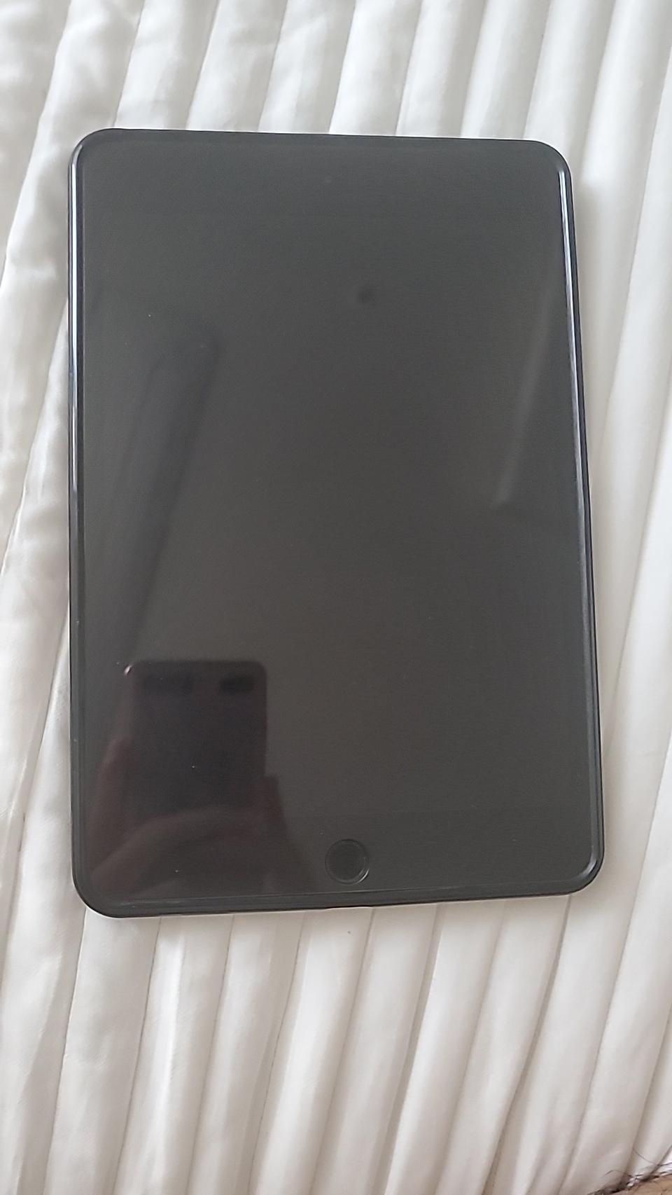 아이패드 미니5