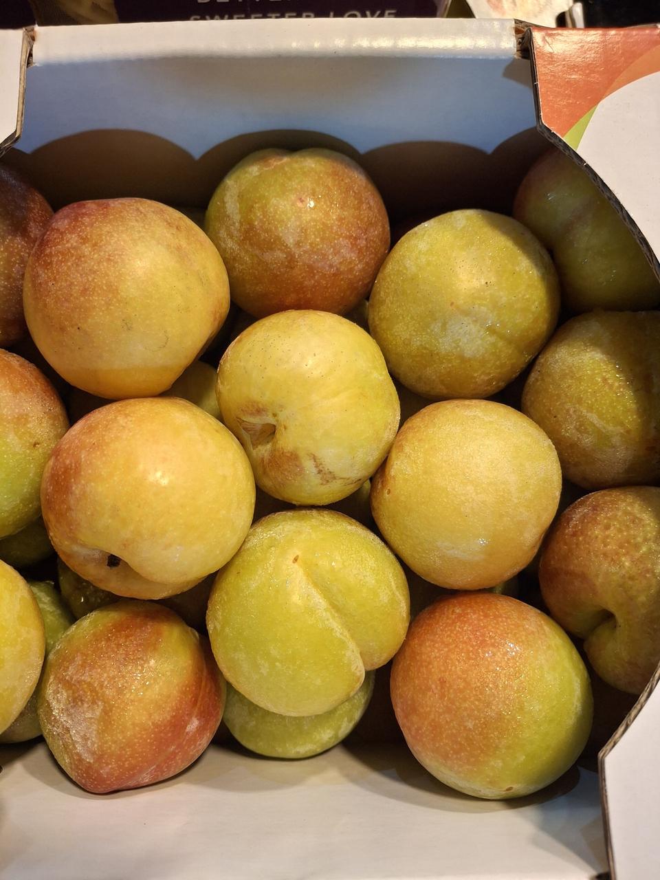 추희자두3kg 무료배송 입니다