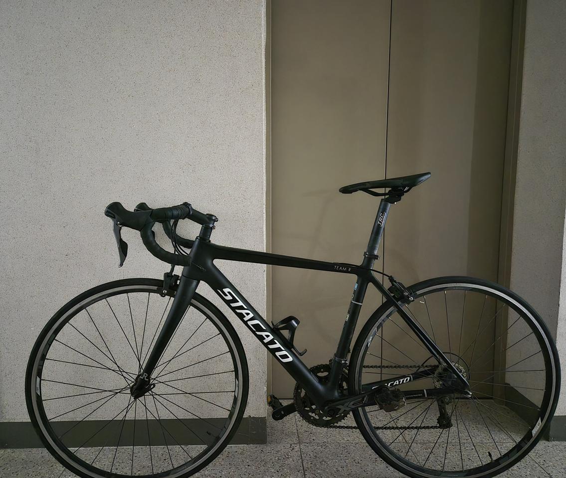 스타카토 팀에디션 카본 로드자전거